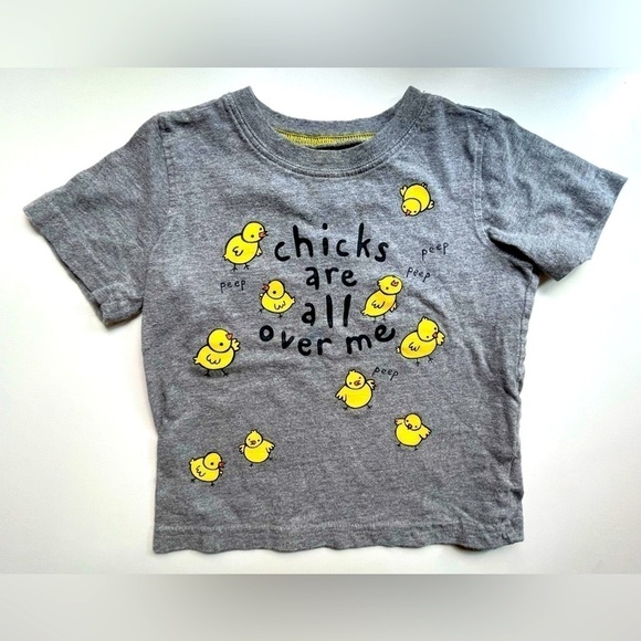 jumping beans Other - Jumping Beans Gray Chicks Short Sleeve T-shirt Baby Size 24 months